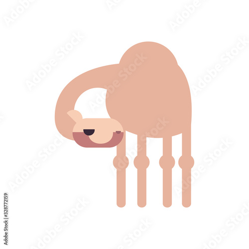 Cute camel cartoon fill style icon vector design