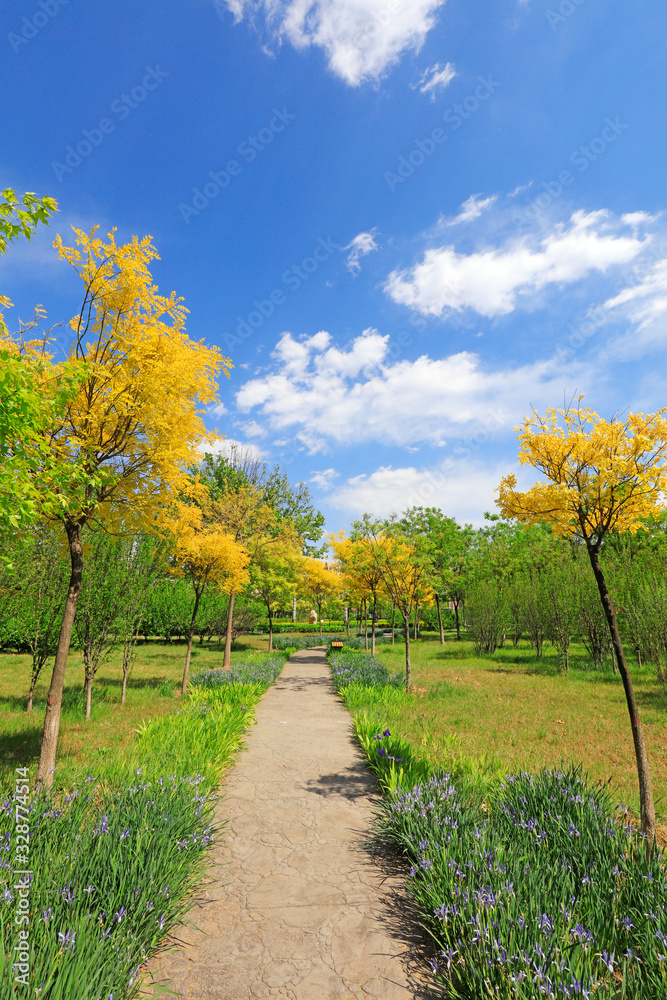Naklejka premium green landscape in the park