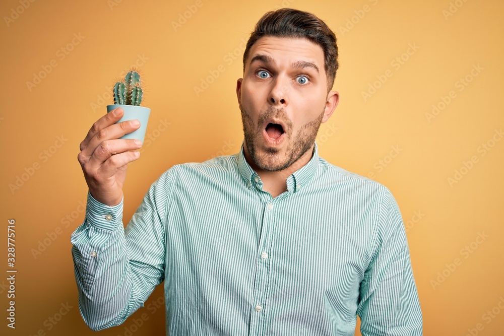 Young man with blue eyes holding fresh cactus plant pot over yellow background scared in shock with a surprise face, afraid and excited with fear expression Young man with blue eyes holding fresh cactus plant pot over yellow background scared in shock with a surprise face, afraid and excited with fear expression