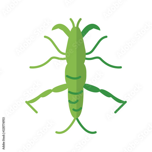 stick insect, flat style icon