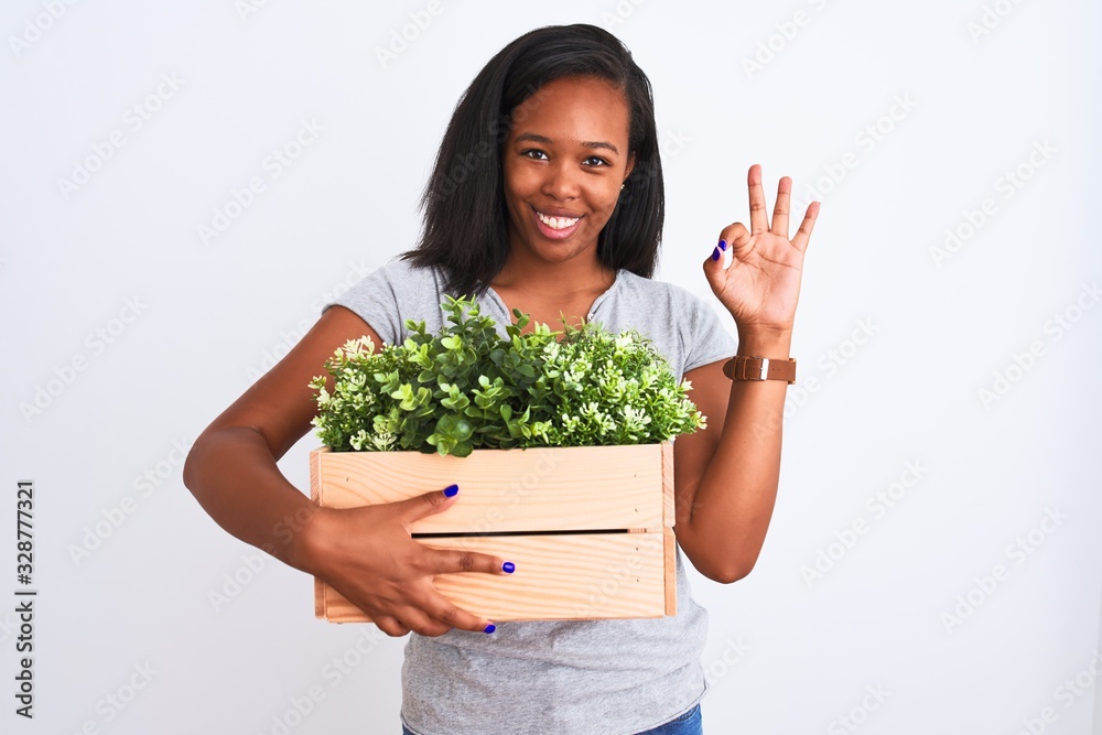 Young african american woman holding wooden pot with plants over isolated background doing ok sign with fingers, excellent symbol Young african american woman holding wooden pot with plants over isolated background doing ok sign with fingers, excellent symbol