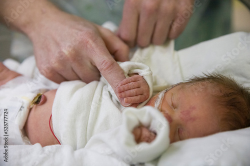 father's hand with premie