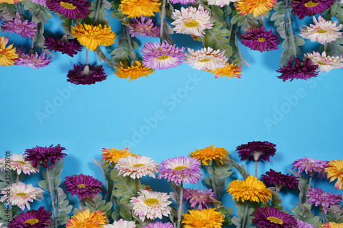 Spring flowers on blue background. Empty space for design. photo