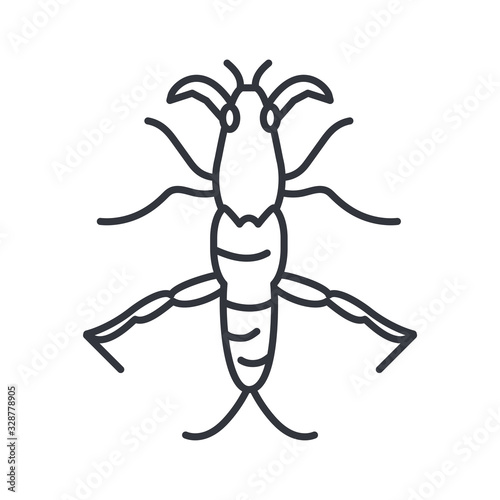 stick insect, line detail style icon © djvstock