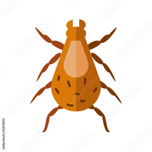 louse insect, flat style icon