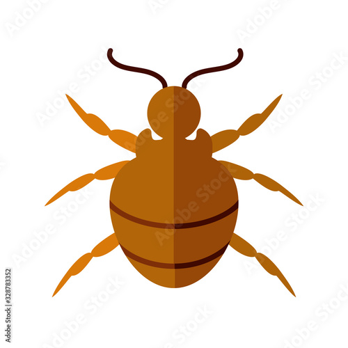 flea insect icon, flat style