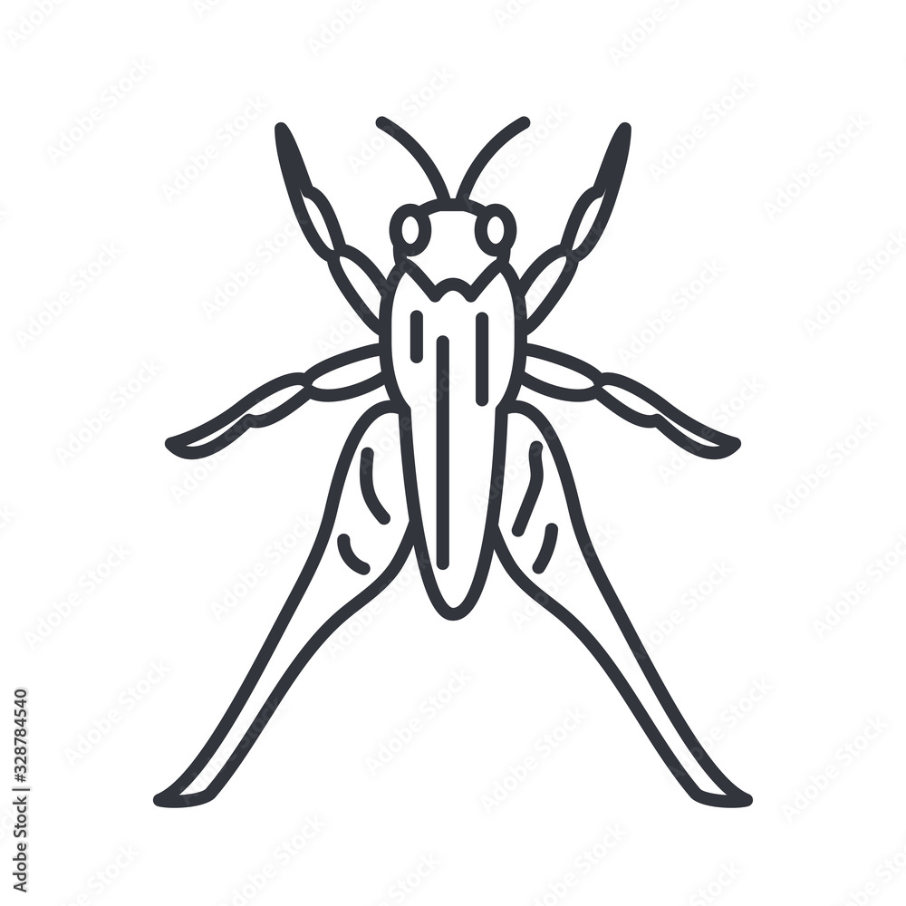 grasshopper insect, line detail style icon grasshopper insect, line detail style icon