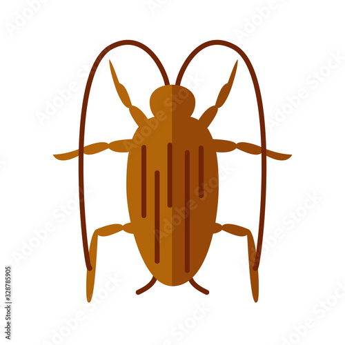 cockroach insect, flat style icon