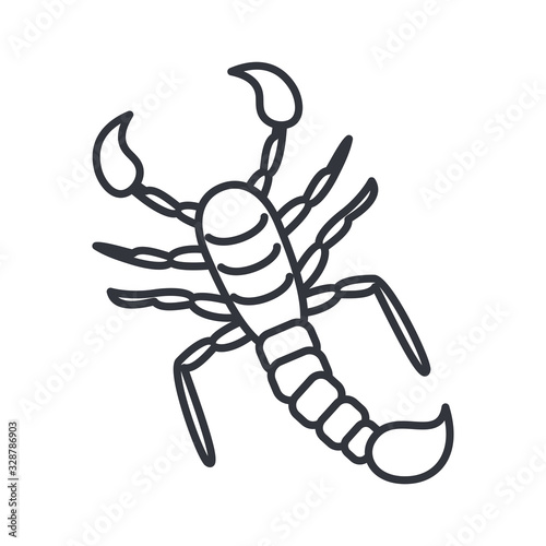 scorpio insect, line detail style icon © djvstock