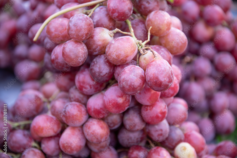 Exceptional freshly picked pink grape from the vine. Coming from the vineyards of the orchards of the Vega Baja, Almoadí, Alicante and exposed for sale to the public