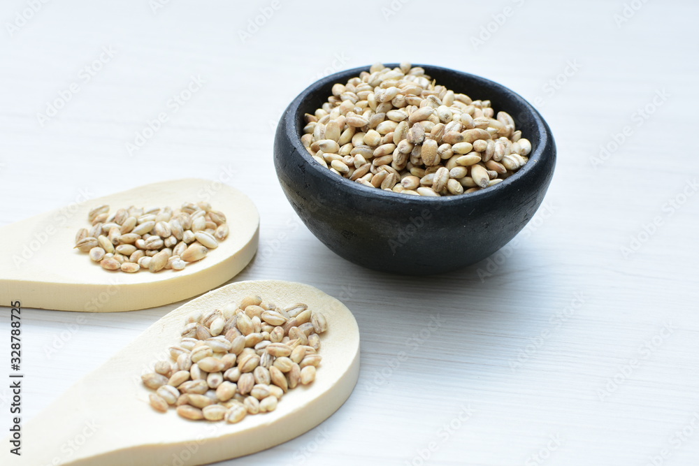 Raw barley grains, released in containers on white wooden background Raw barley grains, released in containers on white wooden background