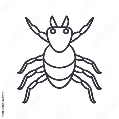 mite insect, line detail style icon