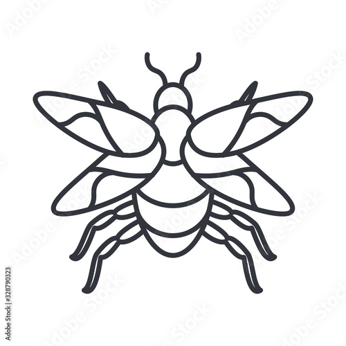 mayfly insect icon, line detail style