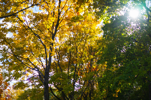 City park in the fall. City landscape in the fall season. Orange foliage and park in the city with a pond and walkways.