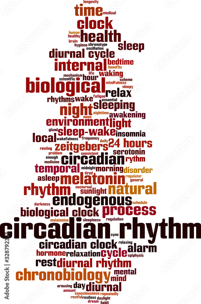 Obraz premium Circadian rhythm word cloud