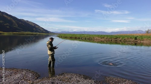 Salmon fishing by means of spinning on the river on the Kamchatka Peninsula, Russia. A man catches on a spinning big salmon. Part 2.