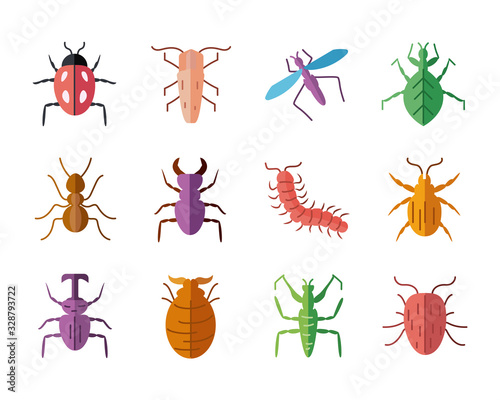 icon set of insects concept, flat style © djvstock