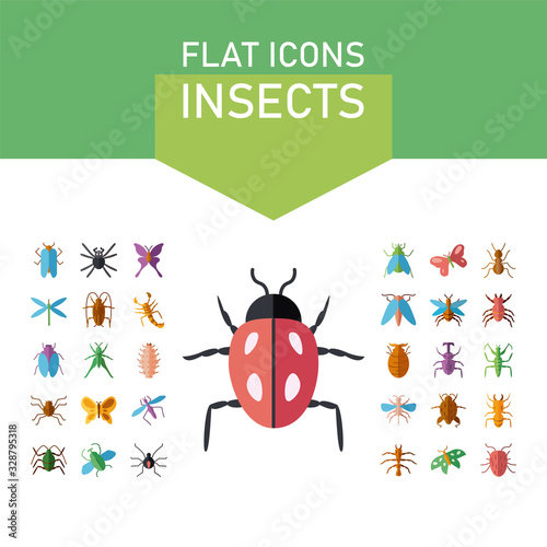 ladybug and insect icon set, colorful and flat style