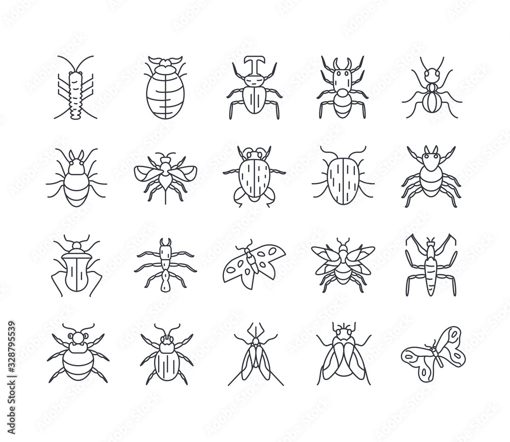 bugs and insect icon set, line detail style