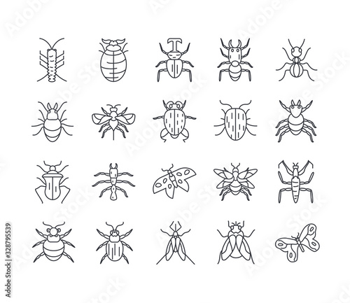 bugs and insect icon set, line detail style
