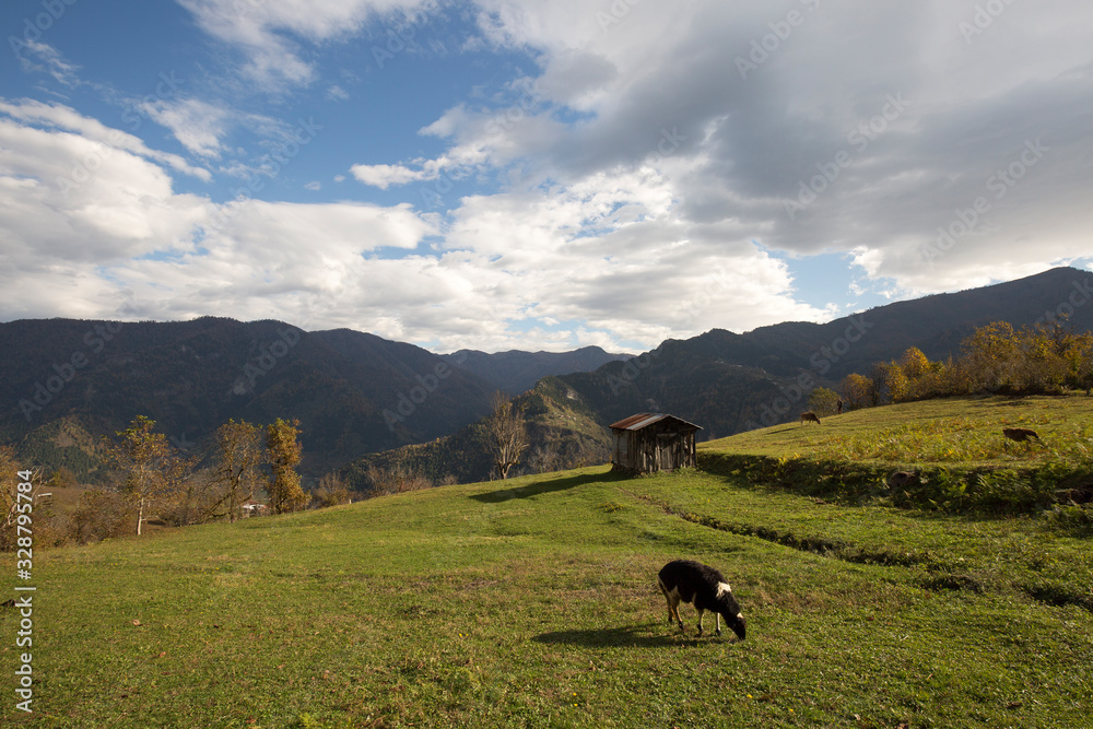 Karagöl Nature Park located in Borcka and Savsat districts of Artvin