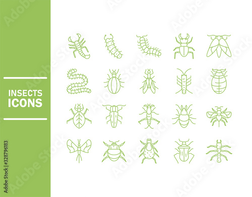 insect icon set over white background  line detail style