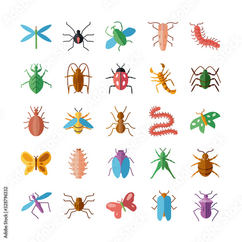 dragonfly and insect icon set, flat style © djvstock