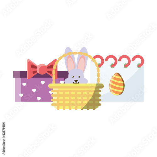 cute rabbit in basket on white background