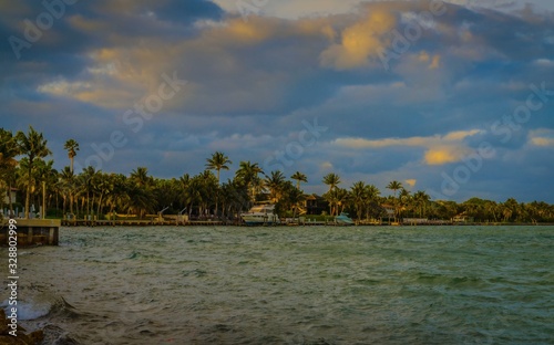 beach sea island ocean tropical aquatic sky sand clouds blue nature beautiful tree palms vacation miami florida