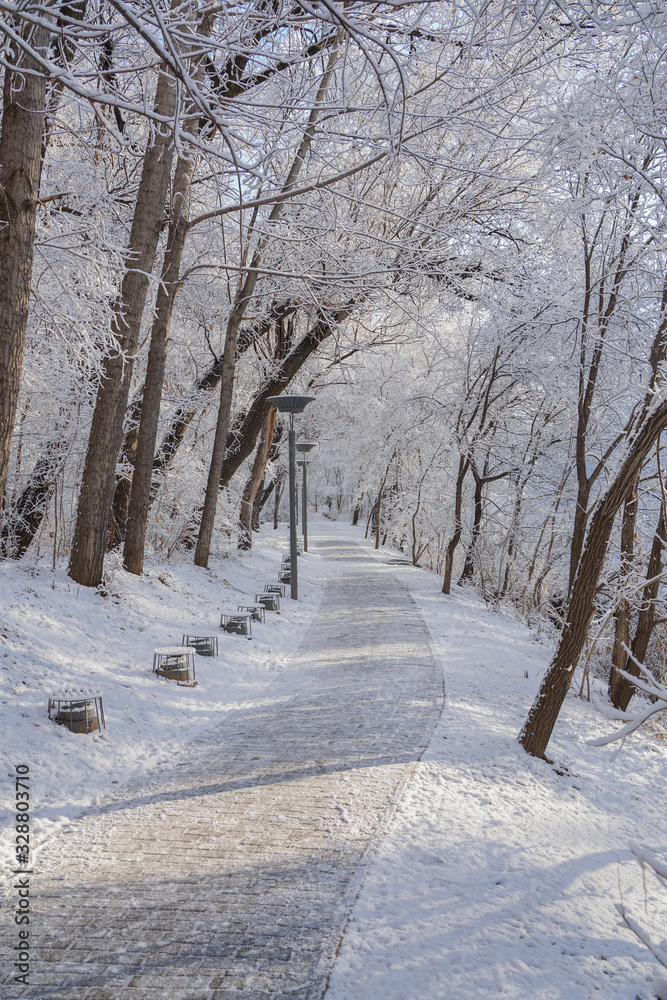 Riverside path after snow Riverside path after snow
