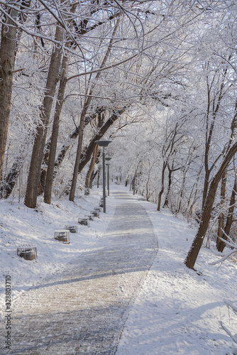 Riverside path after snow