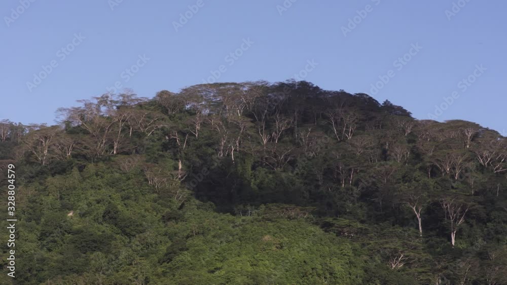 Seychelles maheisland mountain. Palmtree sky and Native natural forest sea ocean Seychelles maheisland mountain. Palmtree sky and Native natural forest sea ocean
