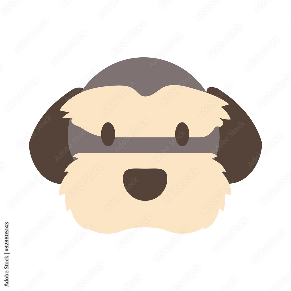 head of cute dog on white background head of cute dog on white background