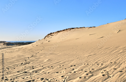 View of nordic sand dunes and Baltic sea at Curonian spit  Nida  Klaipeda  Lithuania