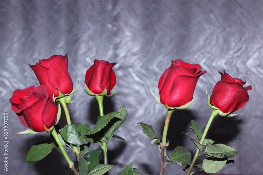 Obraz premium five red roses