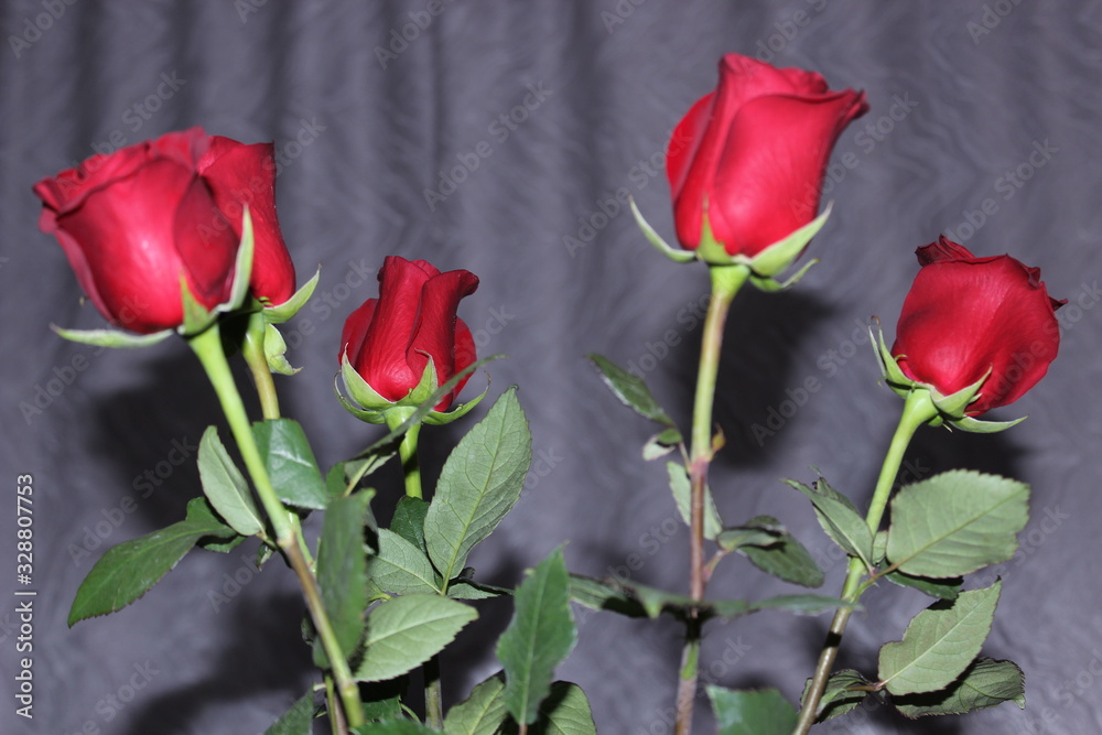 Obraz premium five red roses
