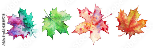 Collection of maple leaves on a white background,watercolor painting. A set of elements for design and creativity.