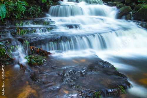 waterfall in forest