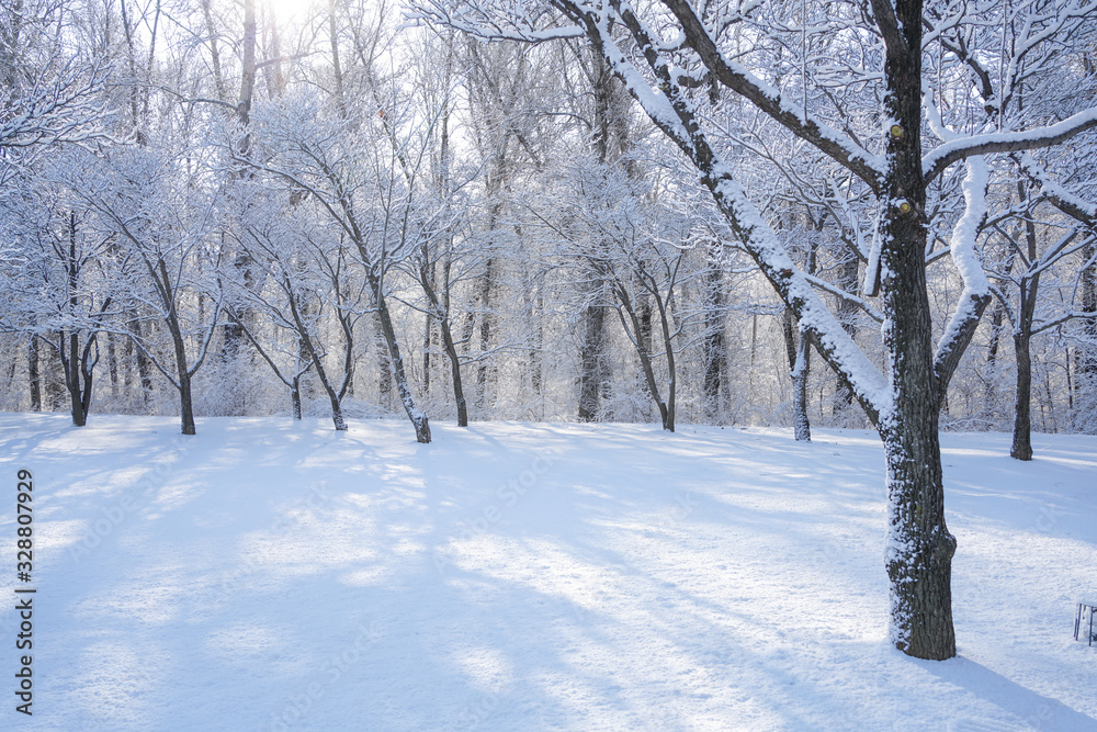 There are rime trees after the snow There are rime trees after the snow