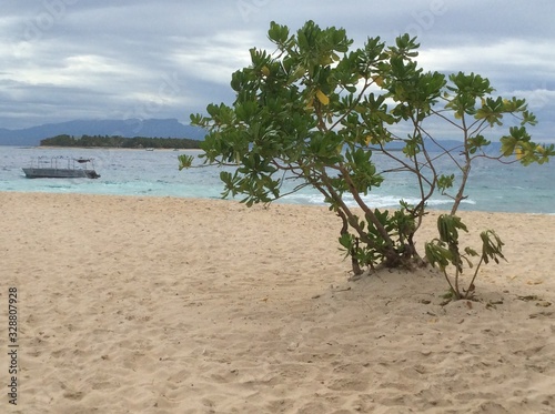 Sandy coast of a tropical island in the Oceania archipelago of Fiji