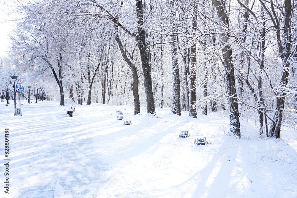 There are rime trees after the snow There are rime trees after the snow