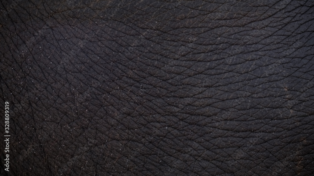 Elephant leather texture and pattern Elephant leather texture and pattern