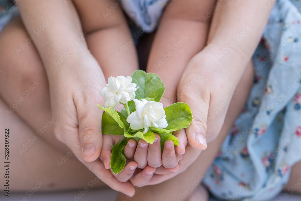 Jasmine flower, little girl present jasmine flower to mother on thai mother's day Jasmine flower, little girl present jasmine flower to mother on thai mother's day