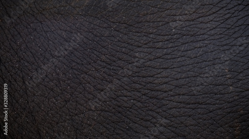 Elephant leather texture and pattern