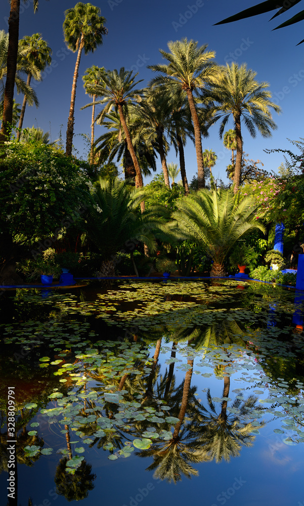 Vertical panorama of watergarden and palm trees at Majorelle Garden in Marrakech Morocco