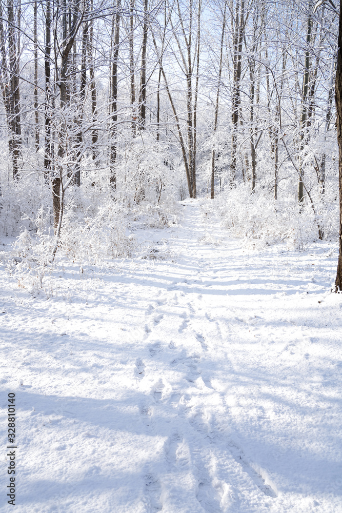 There are rime trees after the snow There are rime trees after the snow