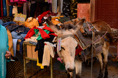 Donkey standing next to a clothes bin in the souk of Marrakech Morocco