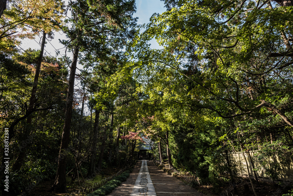 Obraz premium 寿福寺