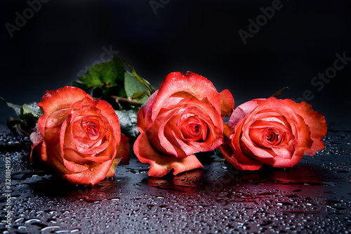 Three Roses And Water Drops