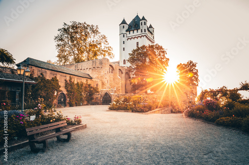 the fairytale Eltwille on the Rhine.  the beautiful Eltwille castle is located directly on the river at sunrise.  great sunrise